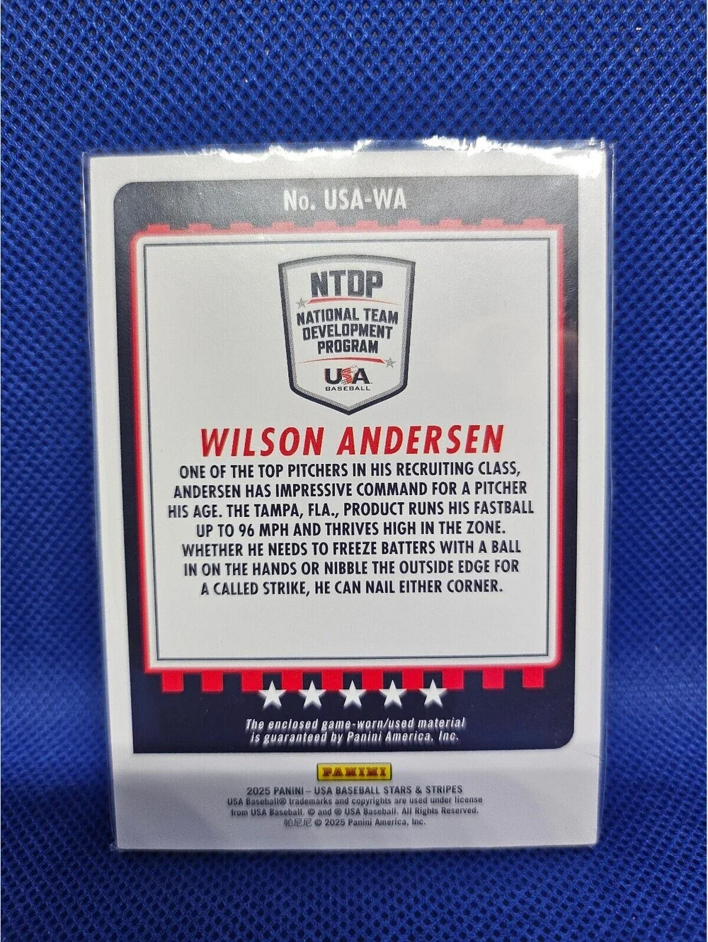 Panini 2025 stars